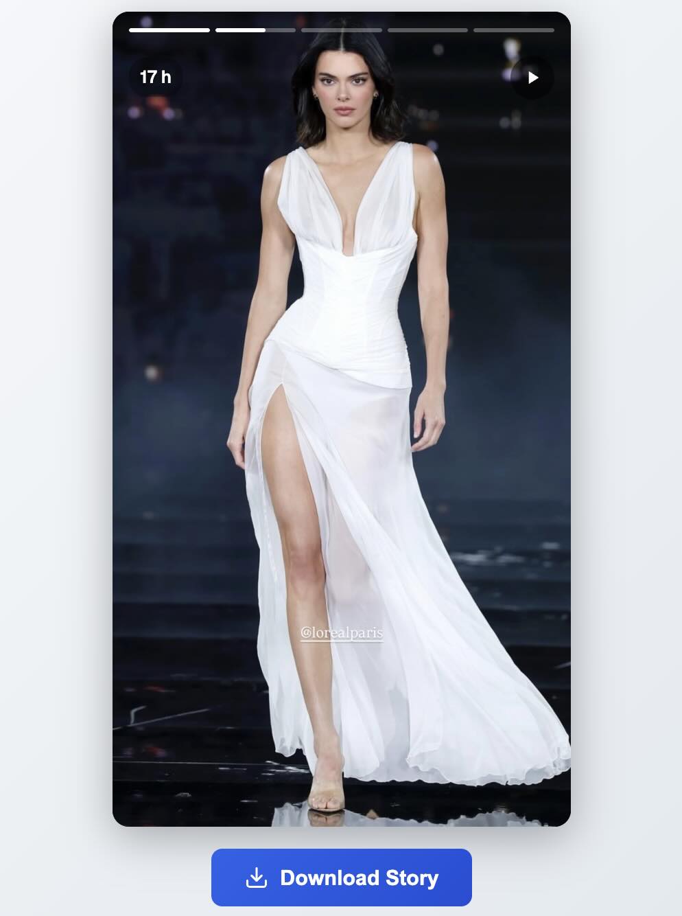 Story viewer results showing multiple stories from a public account